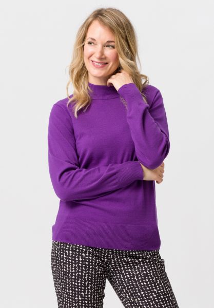Strickpullover mit Rollkragen